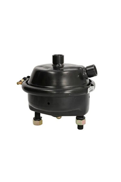 SBP Cilindru De Pretensionare Dreapta Man Tga/Tgs 1