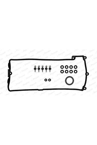 PAYEN Set Garnituri Capac Supape Pentru Cilindrii 5-8 Alpina B5/B6/B7 Bmw 5/6/7