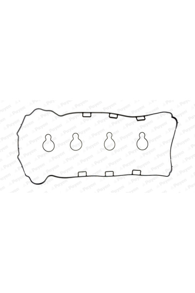 PAYEN Set Garnituri Capac Supape Cadillac Bls Opel Signum/Vectra C