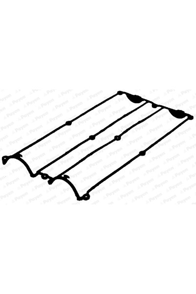 PAYEN Garnitura Capac Supape Ford Escrt 5/Escrt 6/Fiesta 3