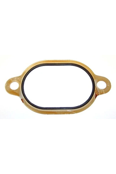 ELRING Garnitura Flansa Lichid Racire Freightliner Century/Columbia Fuso (Mit...