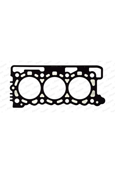 PAYEN Garnitura Chiulasa Citroen C5 3/C6 Ford Australia Territory