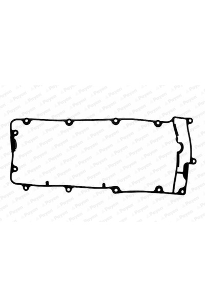 PAYEN Garnitura Capac Supape Land Rover Defender/Discovery 2