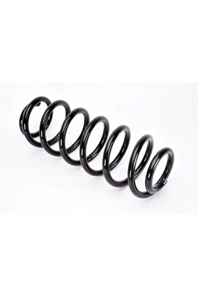 MAGNUM TECHNOLOGY Arc Spiral Puntea Spate Peugeot 307