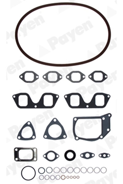 PAYEN Set Garnituri Chiulasa Ashok Leyland Cargo Iveco Eurocargo 1-3/Eurofire...