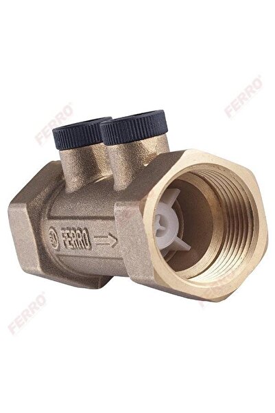 Other 2-inch Class EA Anti-pollution Valve
