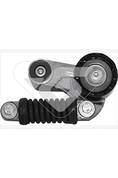 Hutchinson Rola Intinzator Curea Transmisie Renault Espace 3/Laguna 1/Megane ...