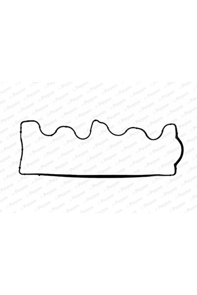 PAYEN Гарнитура на капака на клапаните Alfa Romeo 147/156 Fiat Brava/Bravo 1/...