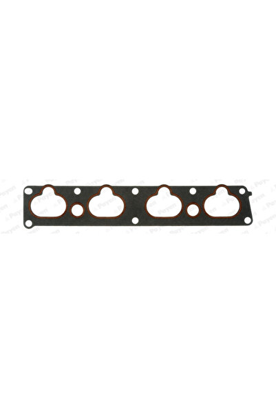 PAYEN Garnitura Galerie Admisie Citroen C4 1/C4 Cupe Peugeot 206/307 2003-2010