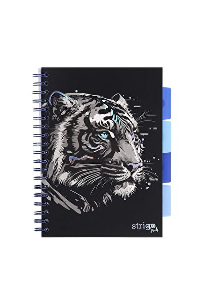 Strigo Spiral notebook and dividers Project Book TIGRU B5, mathematics, 200 pg, cardboard covers PADS024