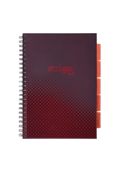 Strigo Spiral notebook and dividers Project Book BASIC A4, mathematics, 200 pg, cardboard covers PADS056