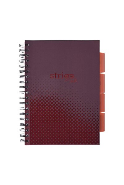 Strigo Spiral notebook and dividers Project Book BASIC B5, mathematics, 200 pg, cardboard covers PADS059