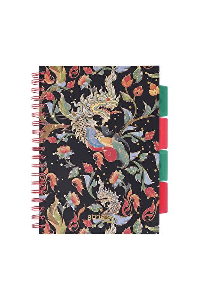 Strigo Spiral notebook and dividers Project Book DRAGON B5, mathematics, 200 pg, cardboard covers PADS072