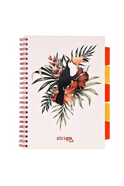 Strigo Caiet spirala si separatoare Project Book TROPICAL A4, matematica, 200 pg, coperti carton PADS061