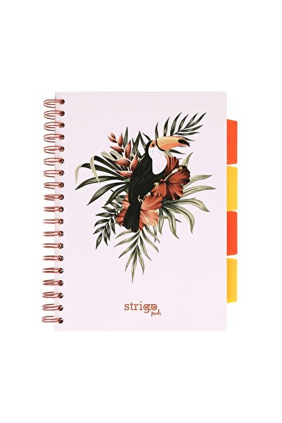 Strigo Spiral notebook and dividers Project Book TROPICAL B5, mathematics, 200 pg, cardboard covers PADS064