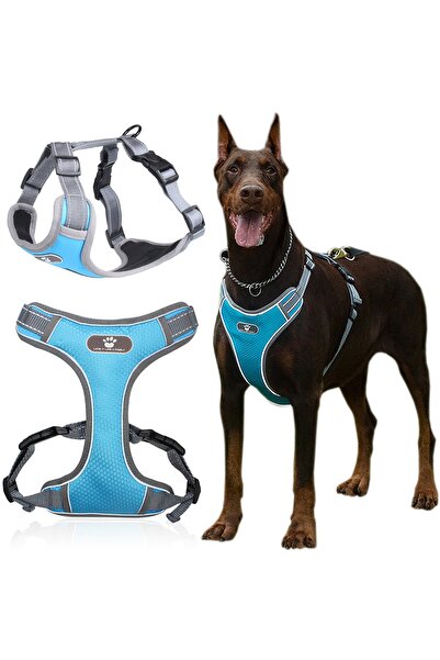 Other Ham de dresaj ASTRO albastru pentru câini de plimbare, mărimea XL