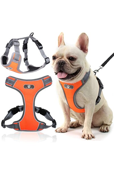 Other Ham de dresaj ASTRO portocaliu pentru câini de plimbare, mărimea M