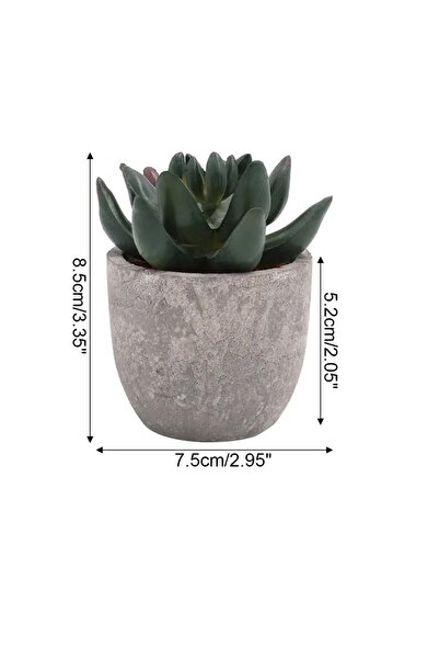 DUTRIEUX نباتات صناعية صغيرة من الصبار ونباتات بونساي محاكاة، شجرة صغيرة في أصيص، زهور وهمية، وأصيص للطاولة المكتبية.