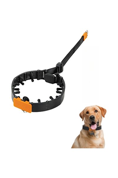Choice طوق كلب أسود فعال للتدريب بدون شد مع مشبك سريع الفك وقابل للتعديل