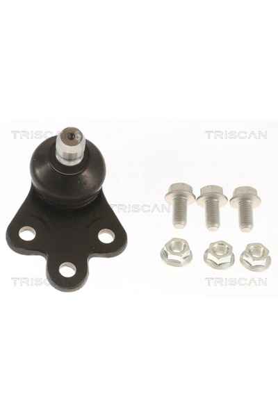 TRISCAN Articulatie Sarcina/Ghidare Tesla Model S