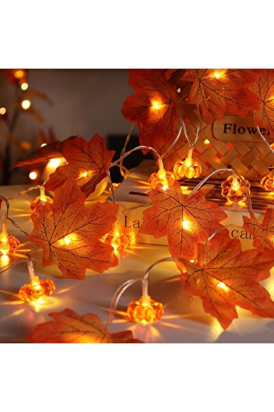 Choice 1.5 متر 10 ليد أبيض دافئ 1 قطعة 10/20 ليد ورقة القيقب و أضواء اليقطين ثلاثية الأبعاد إكليل الخريف مصباح هالوين بطارية