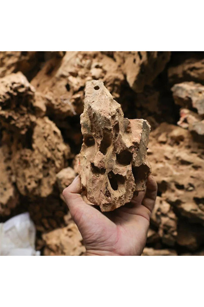 Choice حوالي 1000 جرام أصفر 250 جرام 500 جرام 1000 جرام ديكور حوض السمك الطبي...