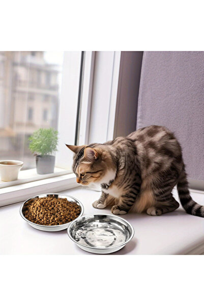 Choice 2/6 قطع وعاء قطط مقاوم للانزلاق من الفولاذ المقاوم للصدأ - تصميم عريض ...