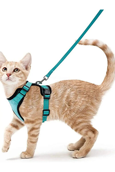 Choice حزام ومقود للقطط S MINT GREEN للمشي، وحزام صدرية ناعم قابل للتعديل مقاوم للهروب للقطط