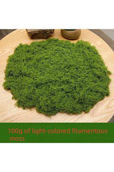 Choice طحلب أخضر فاتح 100 جرام 30/50/100 جرام نباتات خضراء صناعية طحلب عشب دي...