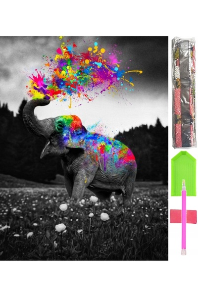 Other Set de imagini cu mozaic mare 5D cu broderie cu diamante D31