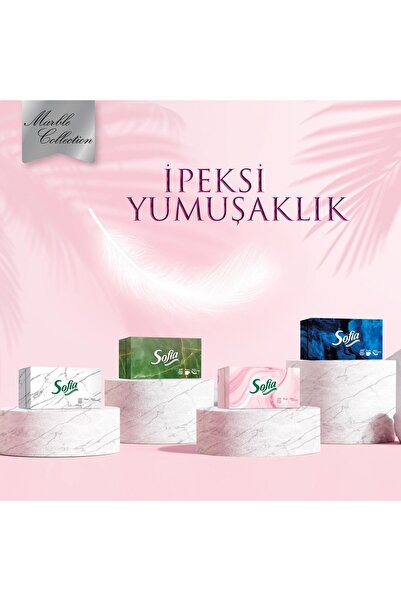 Sofia Kutu Mendil 100 Yaprak 24 Paket