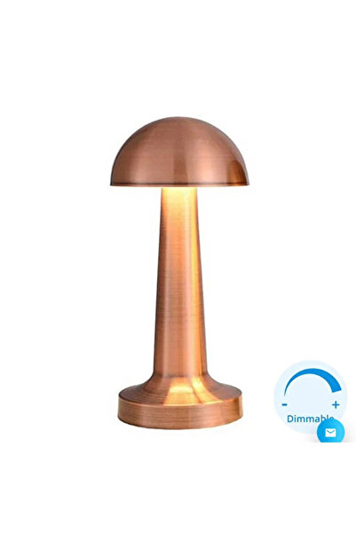 SeckinStore 3 Işık Renkli Şarjlı Dim Edilebilir Masa Lambası ROSE RENK Rose K...