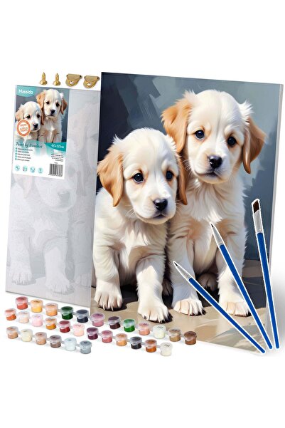 Other Paint by number picture 40x50 cm Massido Puppies