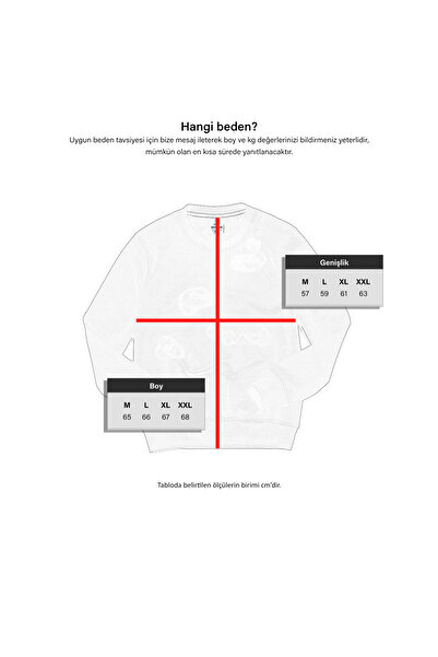 Cottonland Unisex Nolimits Three Thread Relaxed Fit O Neck Printed Cotton Sweatshirt Ecru