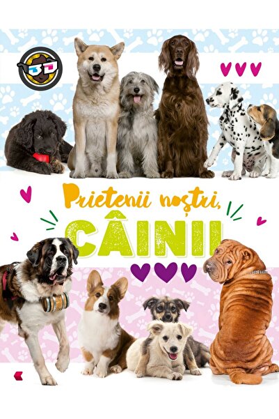 Editura Kreativ Our friends the dogs 3D