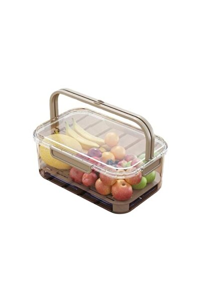 GERICOM Portable Storage Box with Ice Separator and Drain, Keeps Cold, Lunch Box, 25x16.5x11.5 cm, Gray/Tran