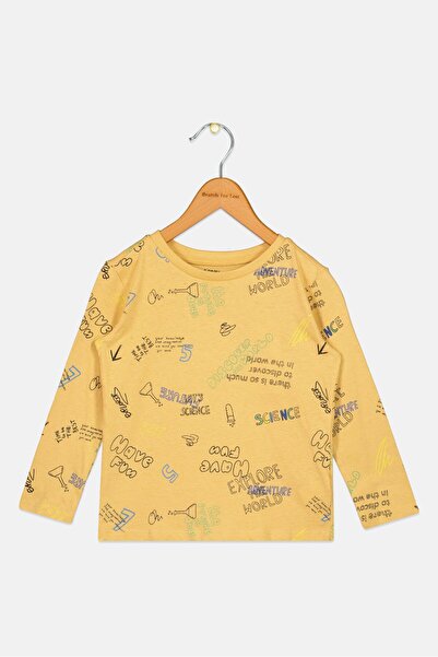 Sinsay Toddlers Boy Long Sleeve Allover Print T Shirt, Multciolor