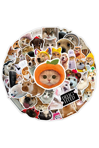 Miniso 50 قطعة من ملصقات ميمات الكلاب والقطط والحيوانات المضحكة، ملصقات كرتون...