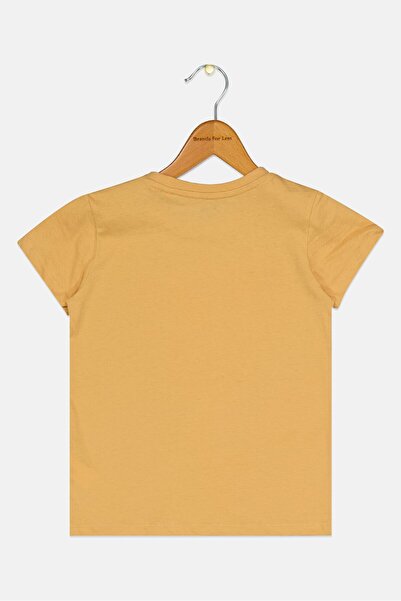 Sinsay Toddlers Boys Crew Neck Short Sleeve Graphic Print T-Shirt, Tan