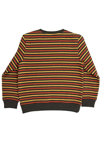 Ozmoz By Mukadder Özden Reborn Recycled Striped Winter Boys' Sweatshirt