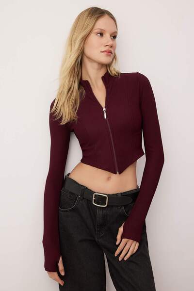 Trendyol Collection Burgundy Ottoman Zippered Stand Collar Flexible Bodycon Knitted Blouse Twoaw26Bz00307