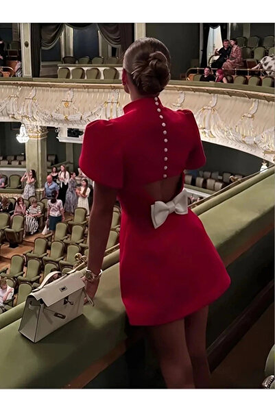 Genel Markalar Kadın Kısa Kollu Balıkçı Yaka Arkadan Kelebek Dekolte Detaylı Kısa Atlas Elbise