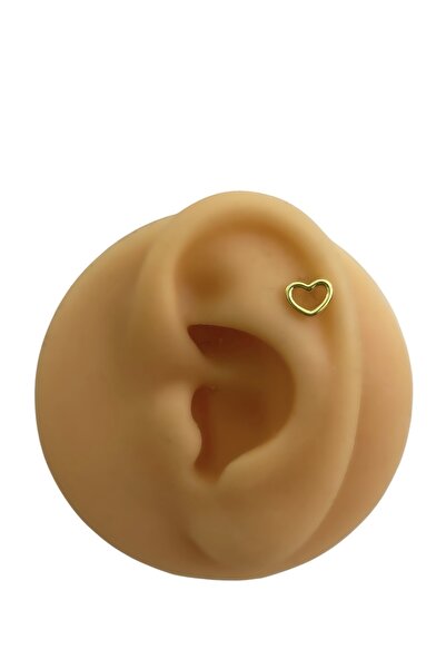 Siminkari 925 Ayar Gümüş Üzerine Mikron Altın Kaplama İçi Boş Kalp Gold Piercing Tragus Helix