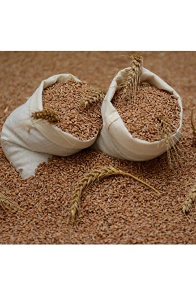 Tempa Tavuk Yemlik Buğday Tavuk Ve Kuş için - 25 Kg ( Sarı Tane) - Açık yem