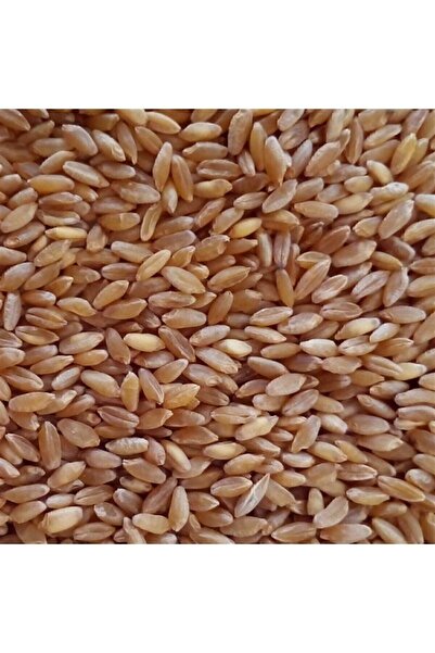 Organik Taşdeğirmen 25 kg - Yemlik Buğday Tane Güvercin - Tavuk Yemi ( Sarı Tane)