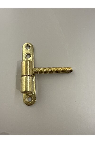 Yerli Kapı Menteşe Vidalı