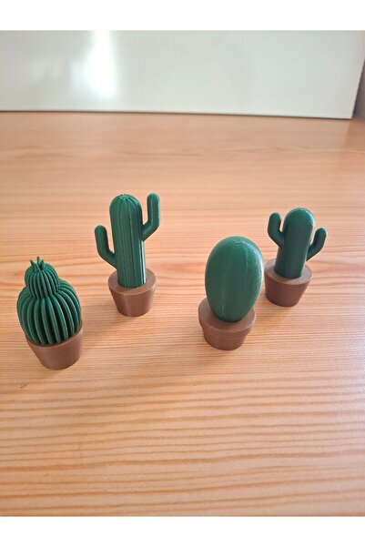 FSK STUDIO Mini Kaktüsler 4'lü Set - Bitki Gibi Ama Sonsuza Kadar