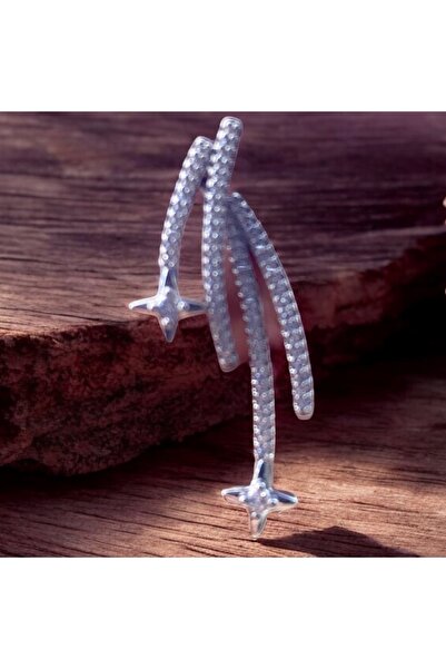 VEGALUXE Steel Star Stylish Design Earrings Do Not Tarnish.