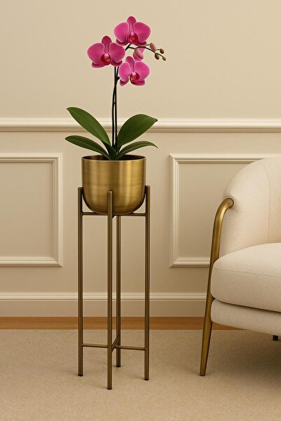 Valda 75 CM ESKİTME SAKSILIK ÇAP 20 CM