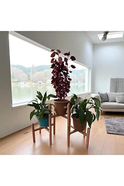 Genel Markalar Üçlü Ahşap Saksı Standı Çiçek Saksı Altlığı 3 Adet Raf Çiçekli...